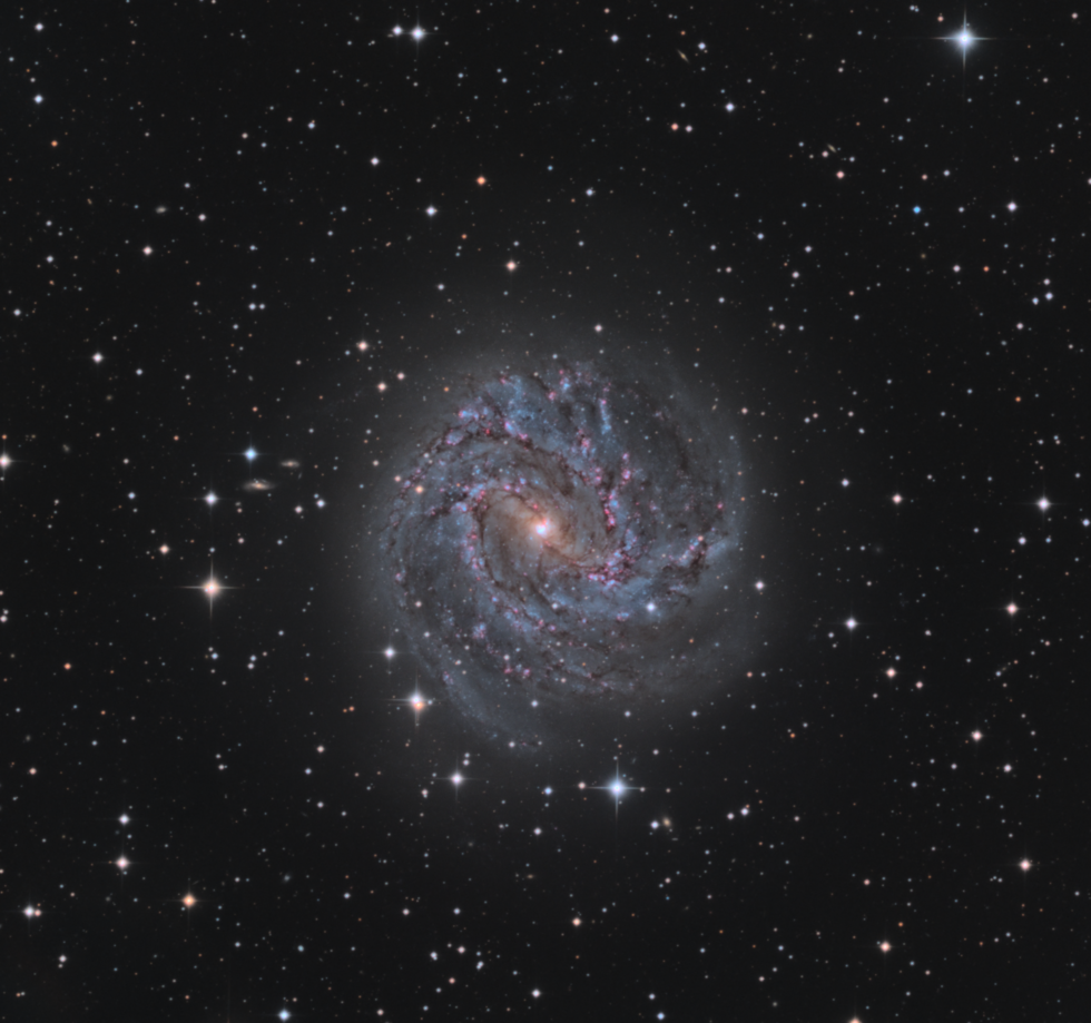 Southern Pinwheel Galaxy | Telescope Live